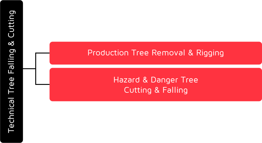 Production Tree Removal & Rigging Course